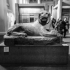 A granite statue of a lion from ancient Egypt, in the British Museum, with visitors walking past.