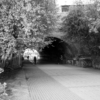 Looking through the Marsh Lane Time Tunnel, with trees overhanging and people walking through
