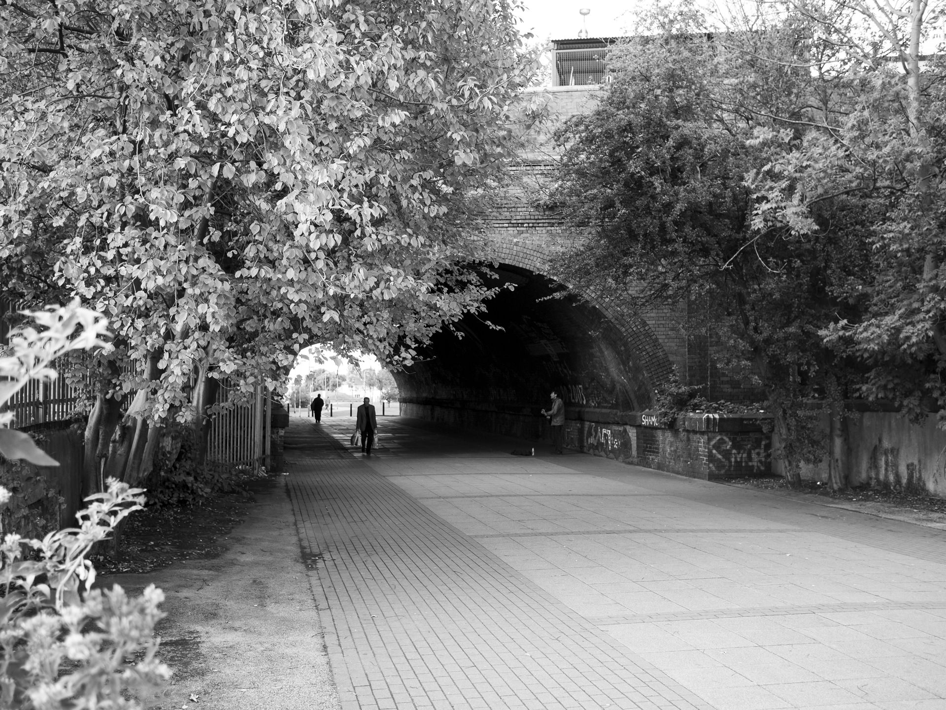 Looking through the Marsh Lane Time Tunnel, with trees overhanging and people walking through