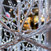 A closeup of a cluster of white Christmas lights wrapped around metal poles