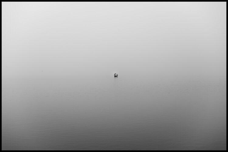 A buoy on the water. The fog makes it hard to see the division between water and sky