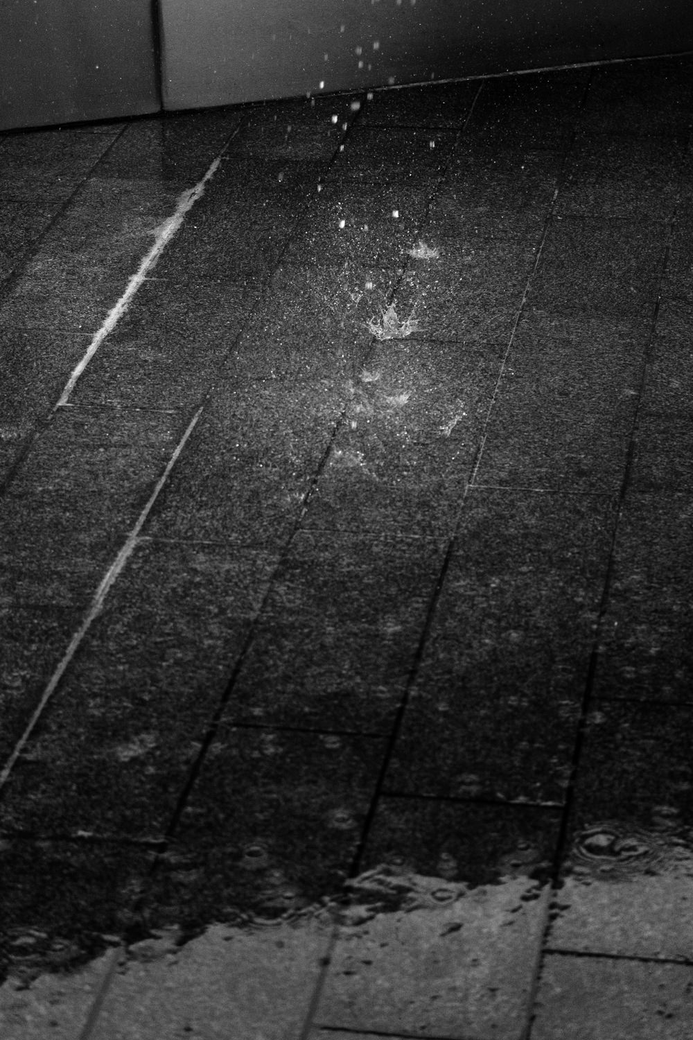 Water droplets falling onto the wet ground. Water's splashing up as the drops hit the ground