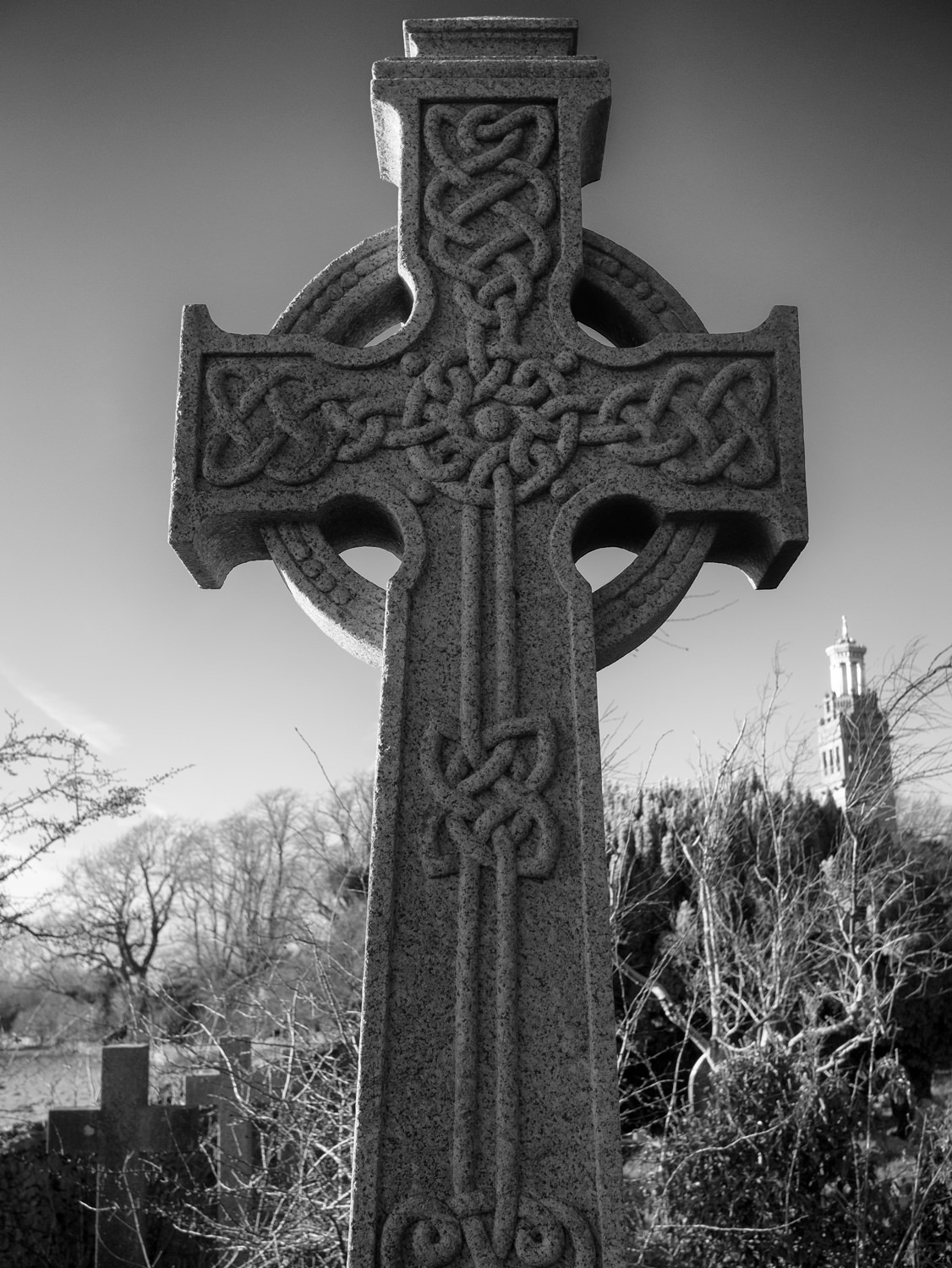 A closeup of the Celtic-style cross. It has a circle around the centre and decorative knots. Beckford's Tower is in the background.