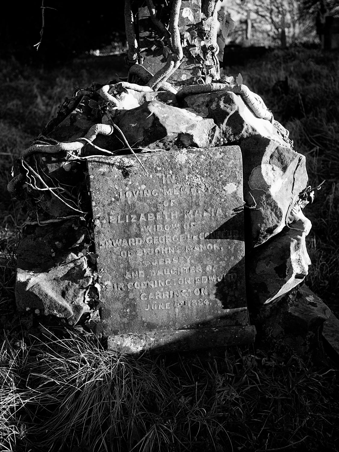 A gravestone encased by a large, slightly jagged rock. A tree is growing up from the rock; some of the roots are wrapped around the rock