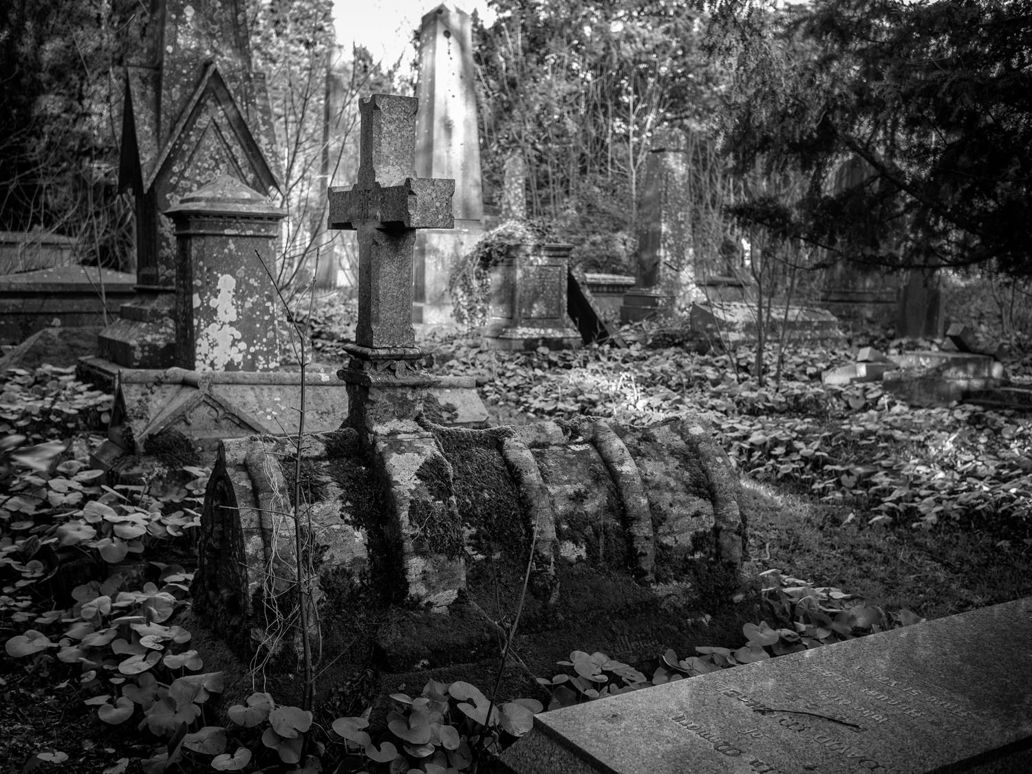 A strange-shaped grave. with a cross on top. The grave is the shape of an arched roof and has moss growing all over it.