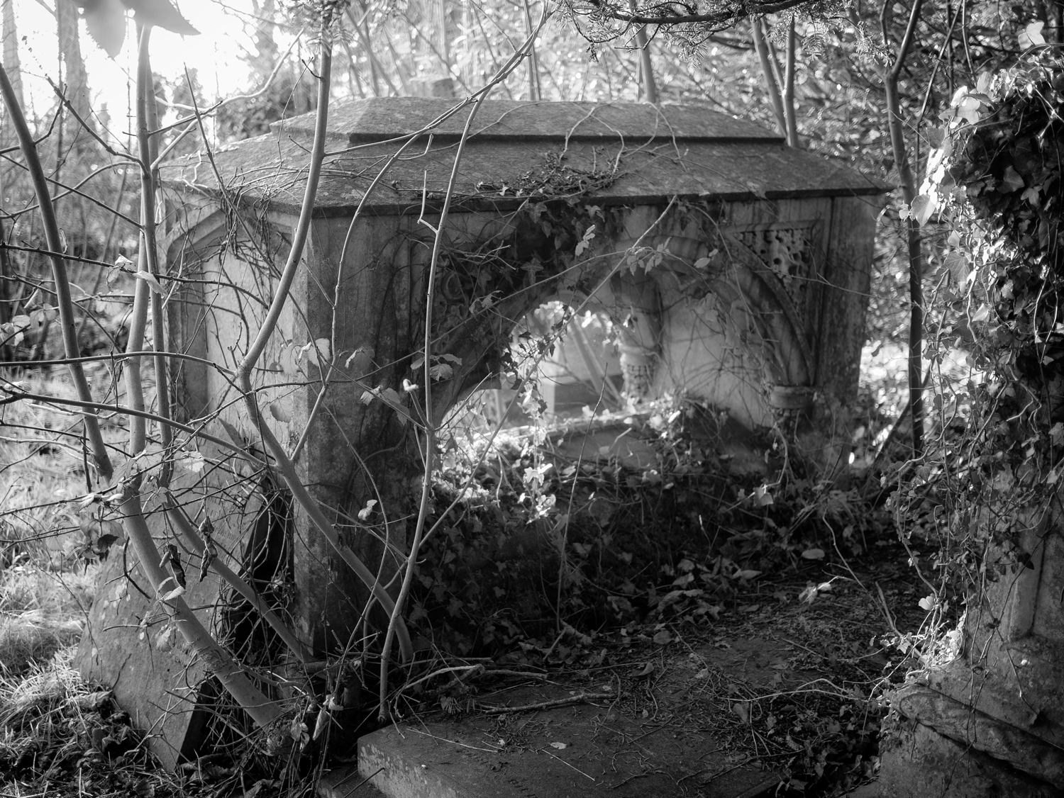 A grave that looks like medieval tombs found inside churches. It has a hollow, carved centre, that you can look through. Ivy is climbing over the grave.