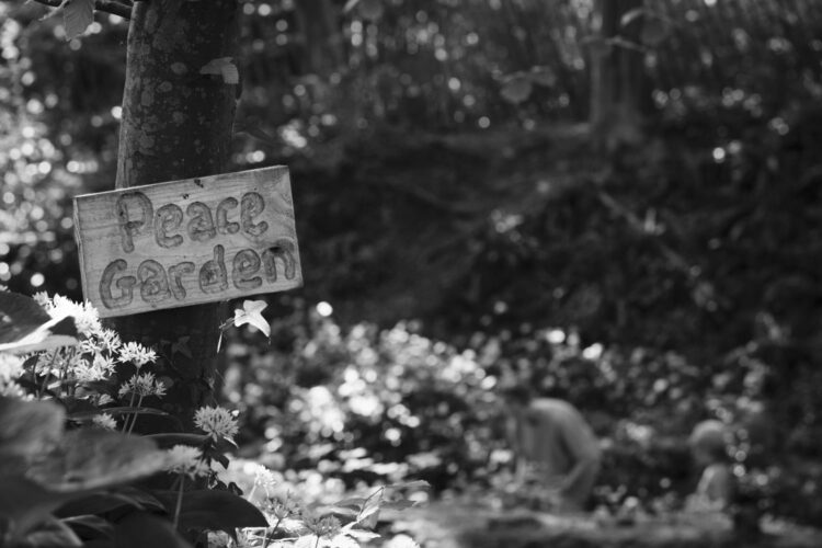a woodland copse with a wooden sign reading 'peace garden'