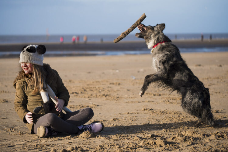 a girl playing with a dog on the beach