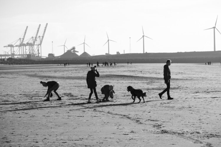 children messing around on a beach