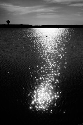 sunlight glinting on the water in lake