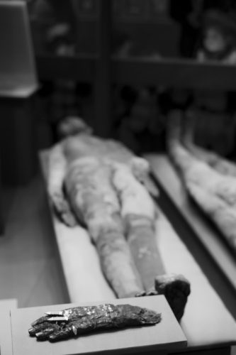 a mummified hand and egyptian mummy at the world museum